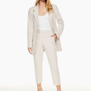 Aritzia/Babaton conan pants